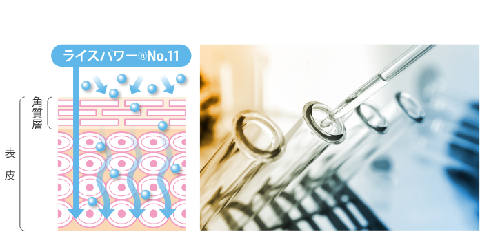 うるおいのある健やかな肌へTo A Healthy Skin With Moisture II