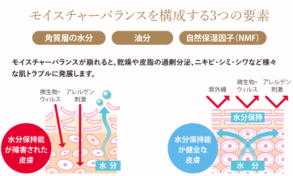 うるおいのある健やかな肌へTo A Healthy Skin With Moisture I